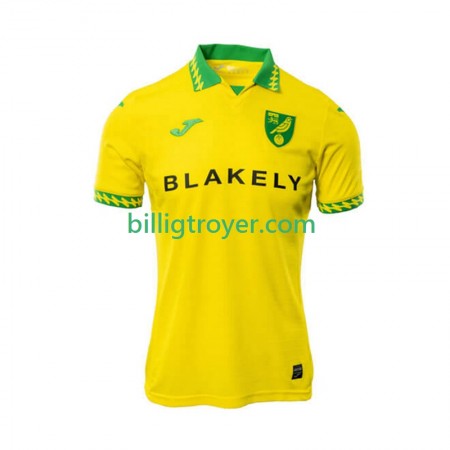 Billige Fotballdrakter Norwich City Hjemmedraktsett 2025/26 Kortermet